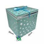 Caja de Regalo Grande | CD 4565
