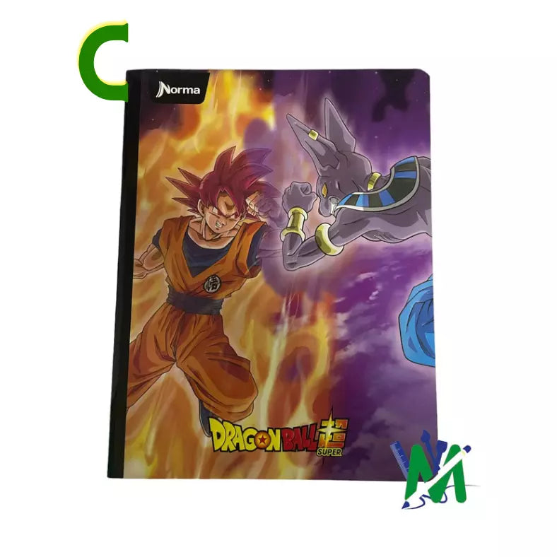 Cuaderno Cosido Norma Gama Alta 100h | CD 010002