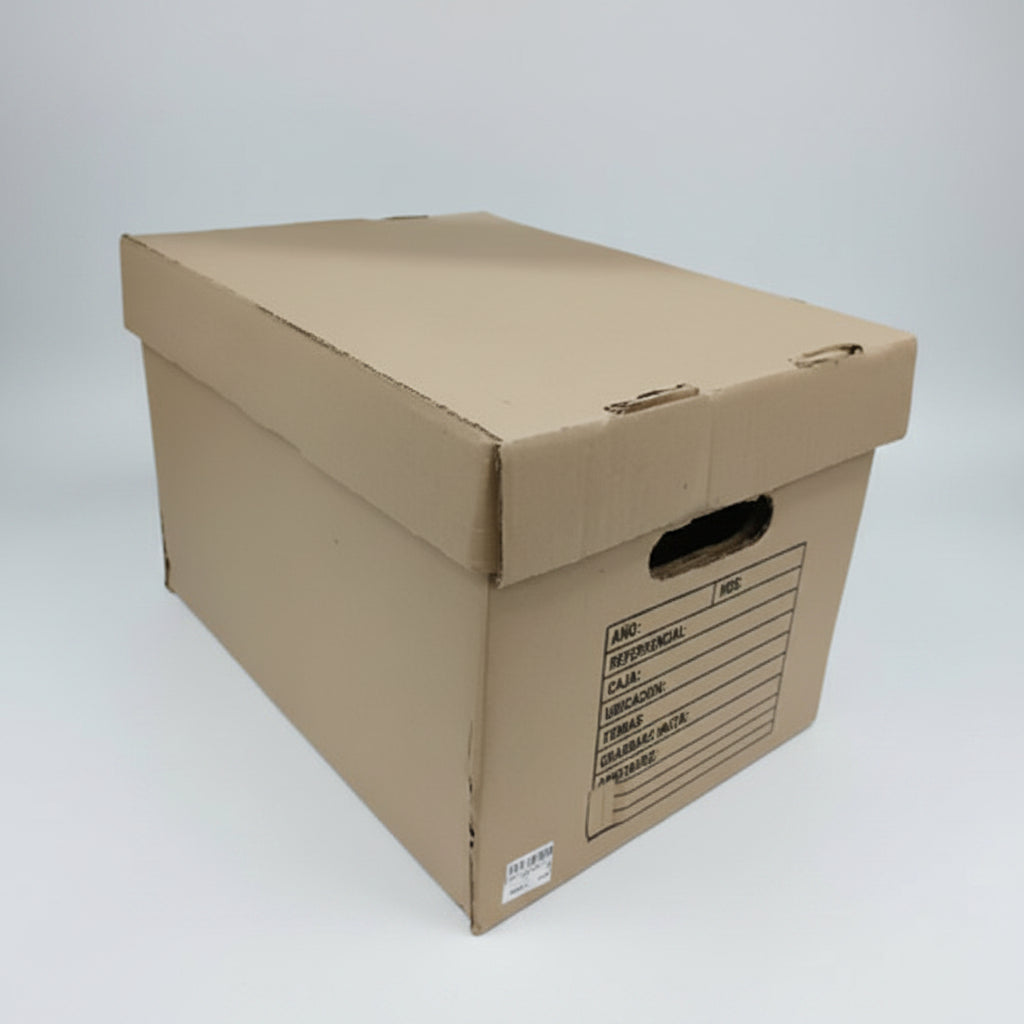 Caja de Archivo con Tapa | CD 210433