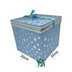 Caja de Regalo Mediana | CD 4553