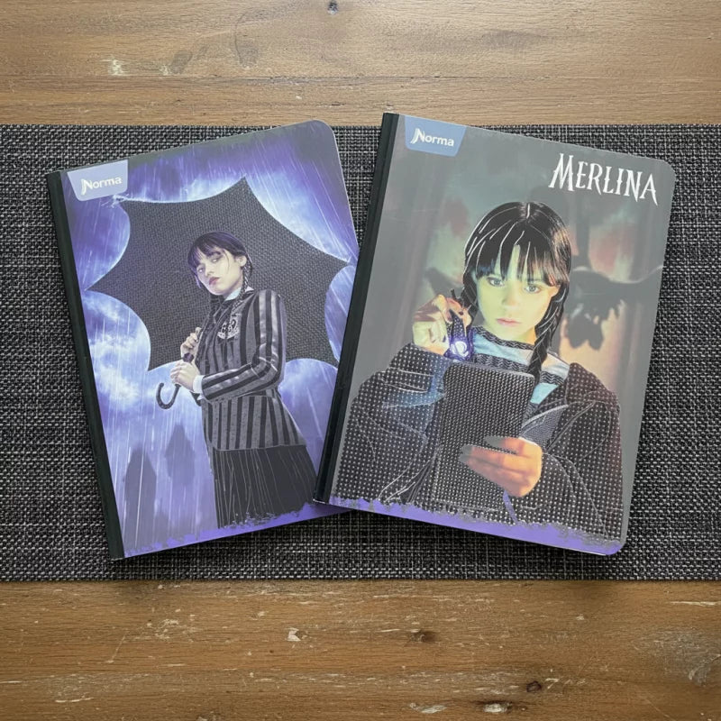 Cuaderno Cosido Norma Gama Alta 100h | CD 010002