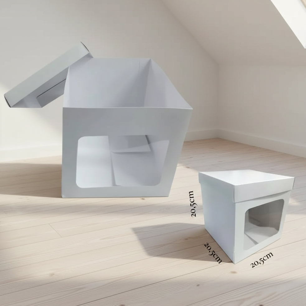 Caja Sorpresa Y73B | CD 3106111
