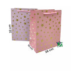 Bolsa de Regalo L Zeppelin | CD 4549