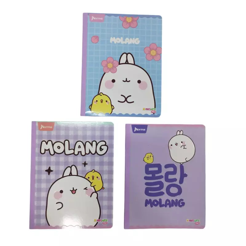 Cuaderno Cosido Norma Xpresarte Pro 100h | CD 01021